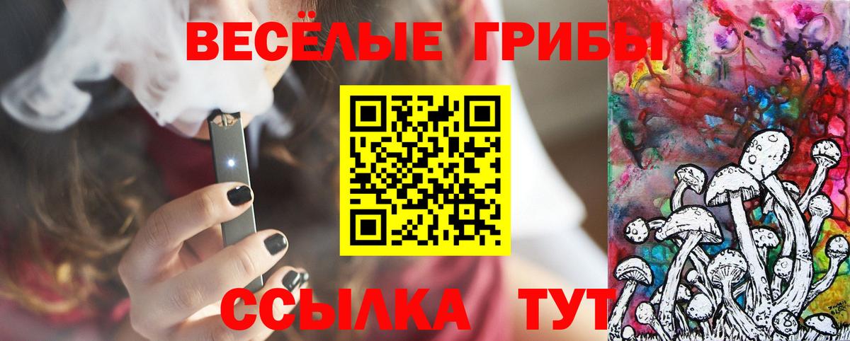 Псилоцибиновые грибы Cubensis Десногорск