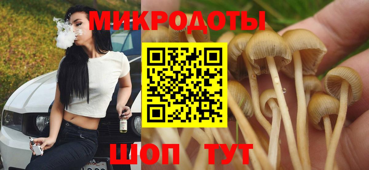 Десногорск  Псилоцибиновые грибы мухоморы  Вход с VPN 